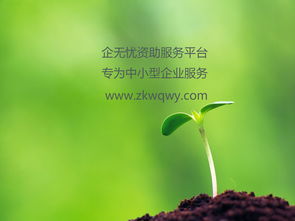 高新技術企業認定流程指南 技術開發類企業